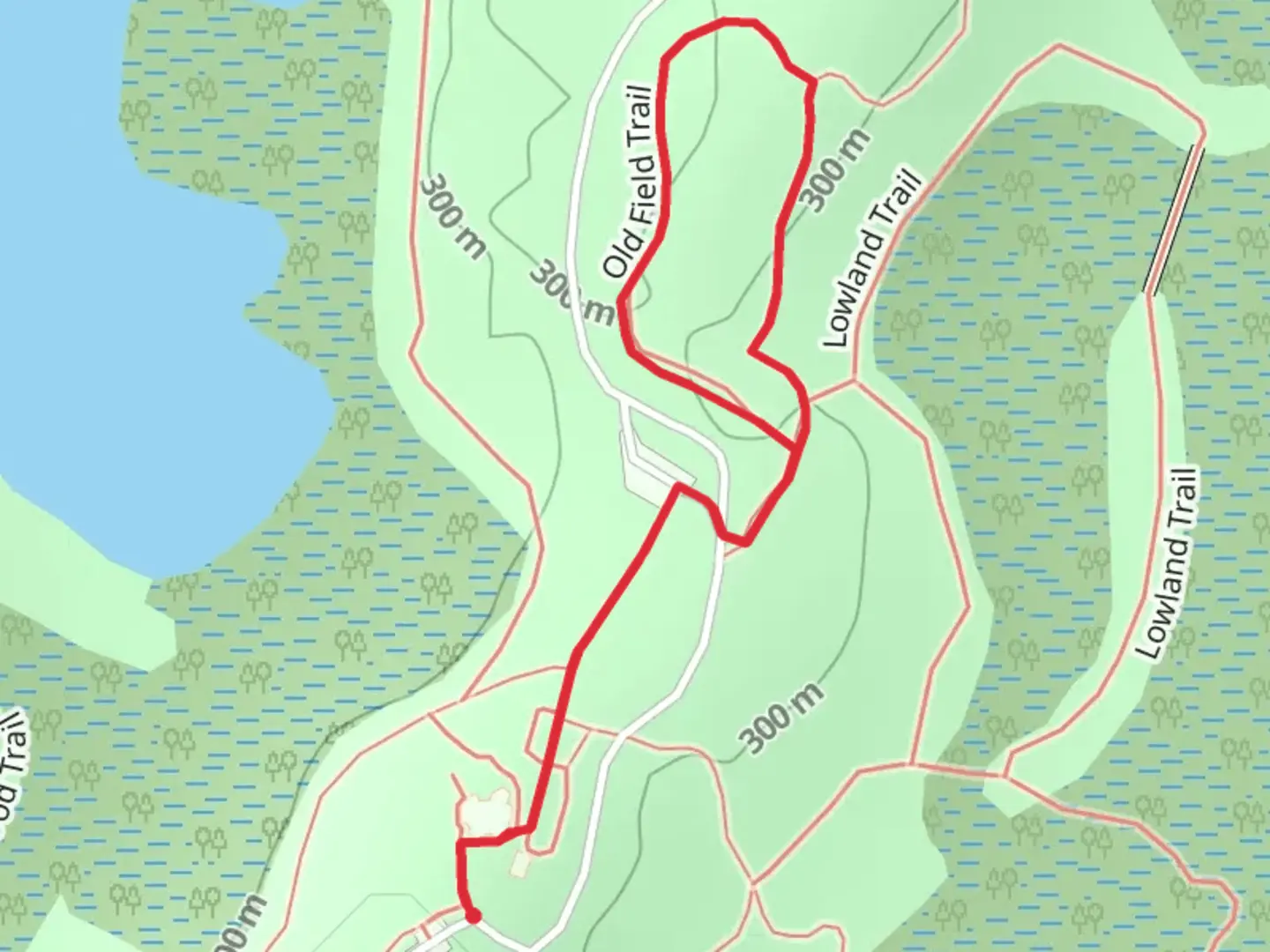 An image depicting the trail Old Field Trail and its surrounding area.