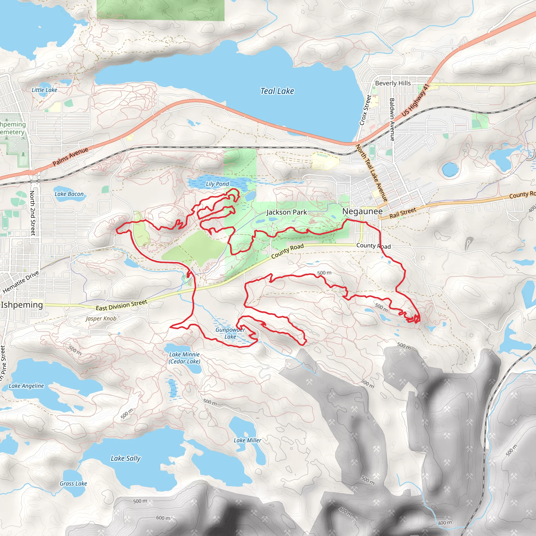 Lily Pond, Old Dump Trail and Carroll Jackson Loop Trail mobile static map