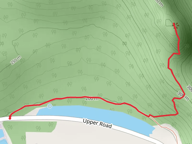 Mt Joe Trail - Upper Road