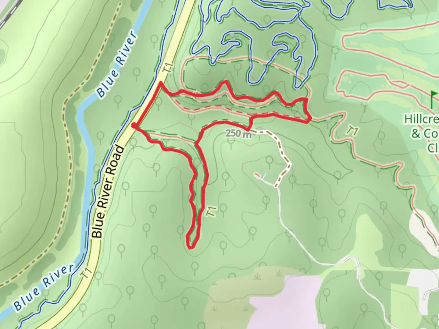 An image depicting the trail Ballentine and Glades Loop and its surrounding area.