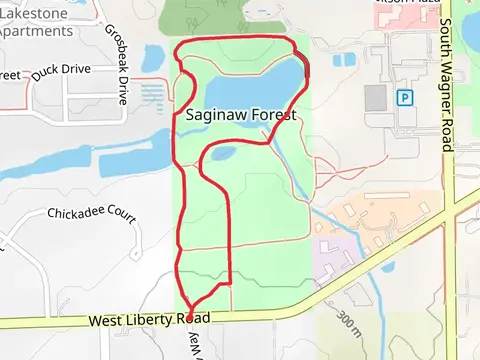 Saginaw Forest Loop