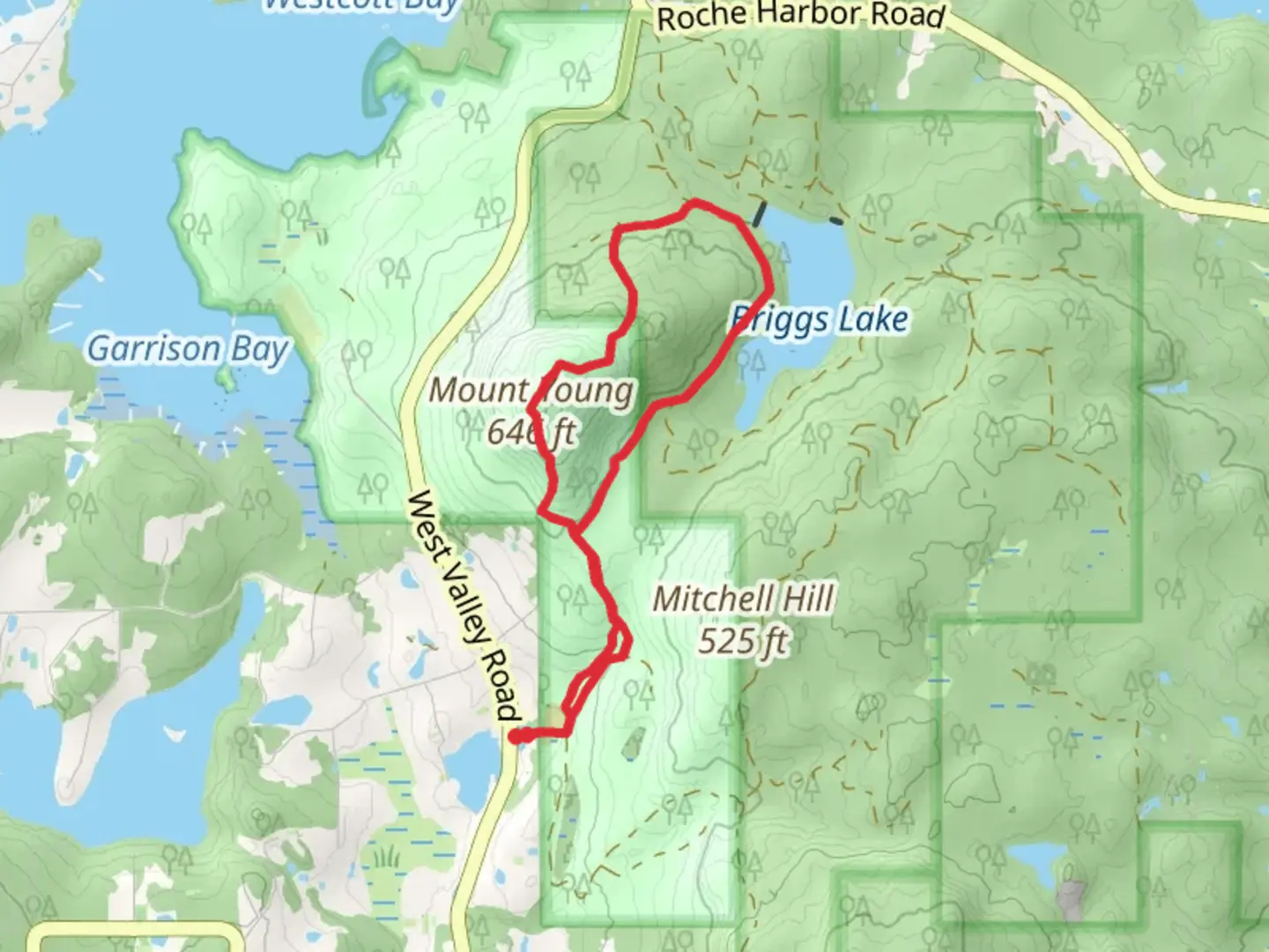 An image depicting the trail Mount Young and Briggs Lake Loop and its surrounding area.