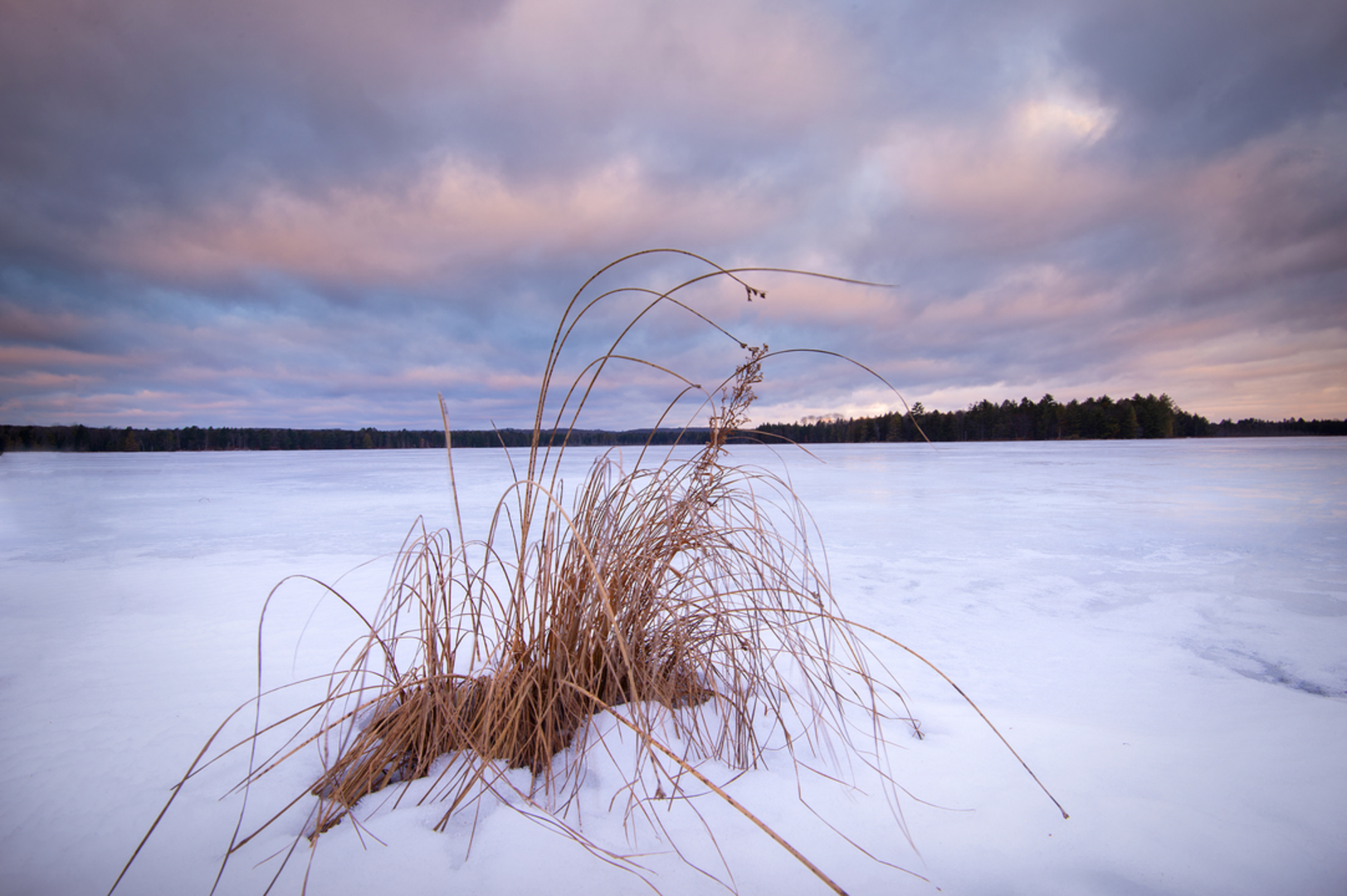An image depicting the trail Wakeley Lake Main Loop Trail and its surrounding area.