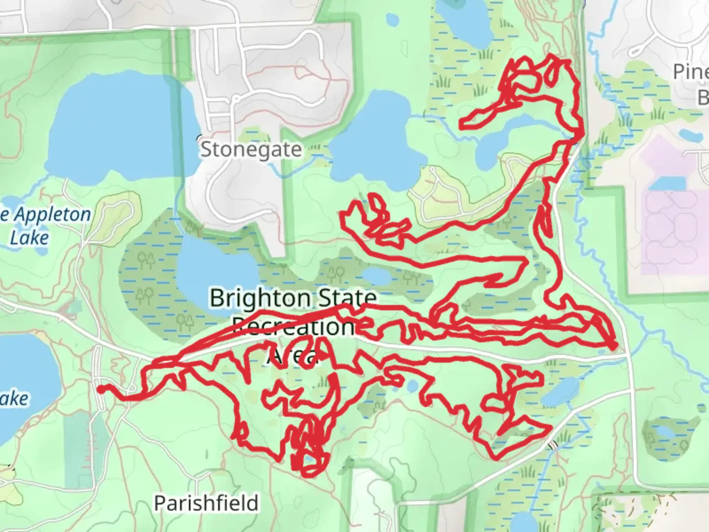 An image depicting the trail Torn Shirt and Murray Lake Loop Trail and its surrounding area.