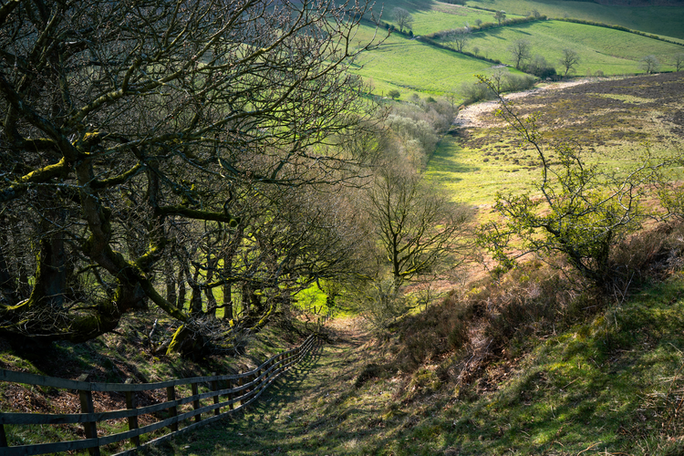 Hole of Horcum and Saltergate Brow from Lockton