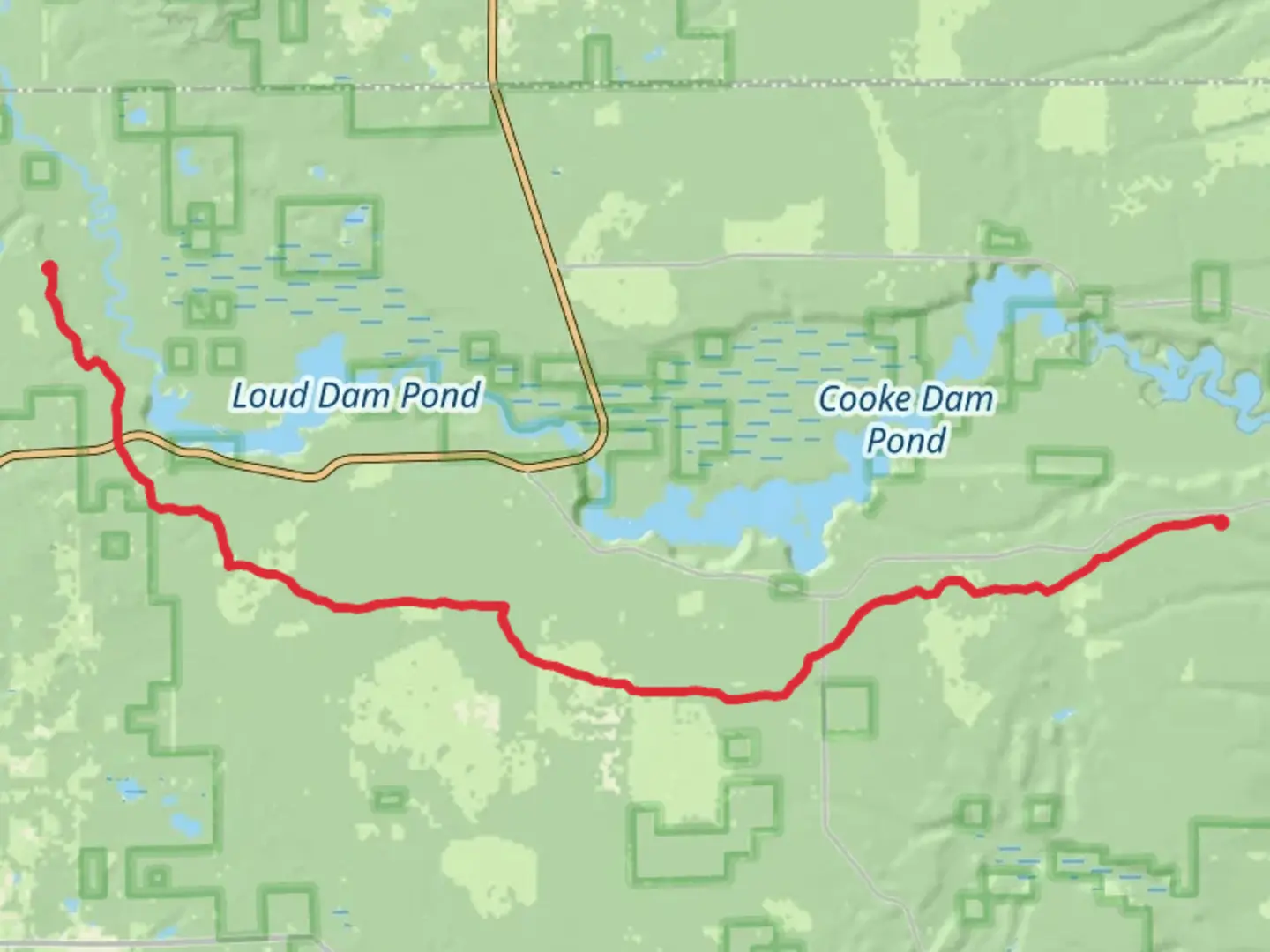 An image depicting the trail Shore to Shore Trail and its surrounding area.