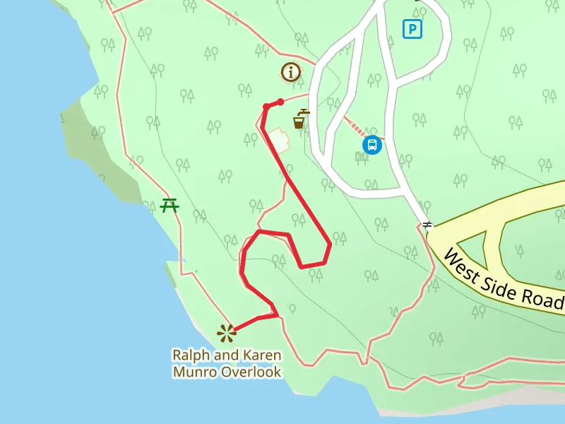 Orca Whale Watching Point