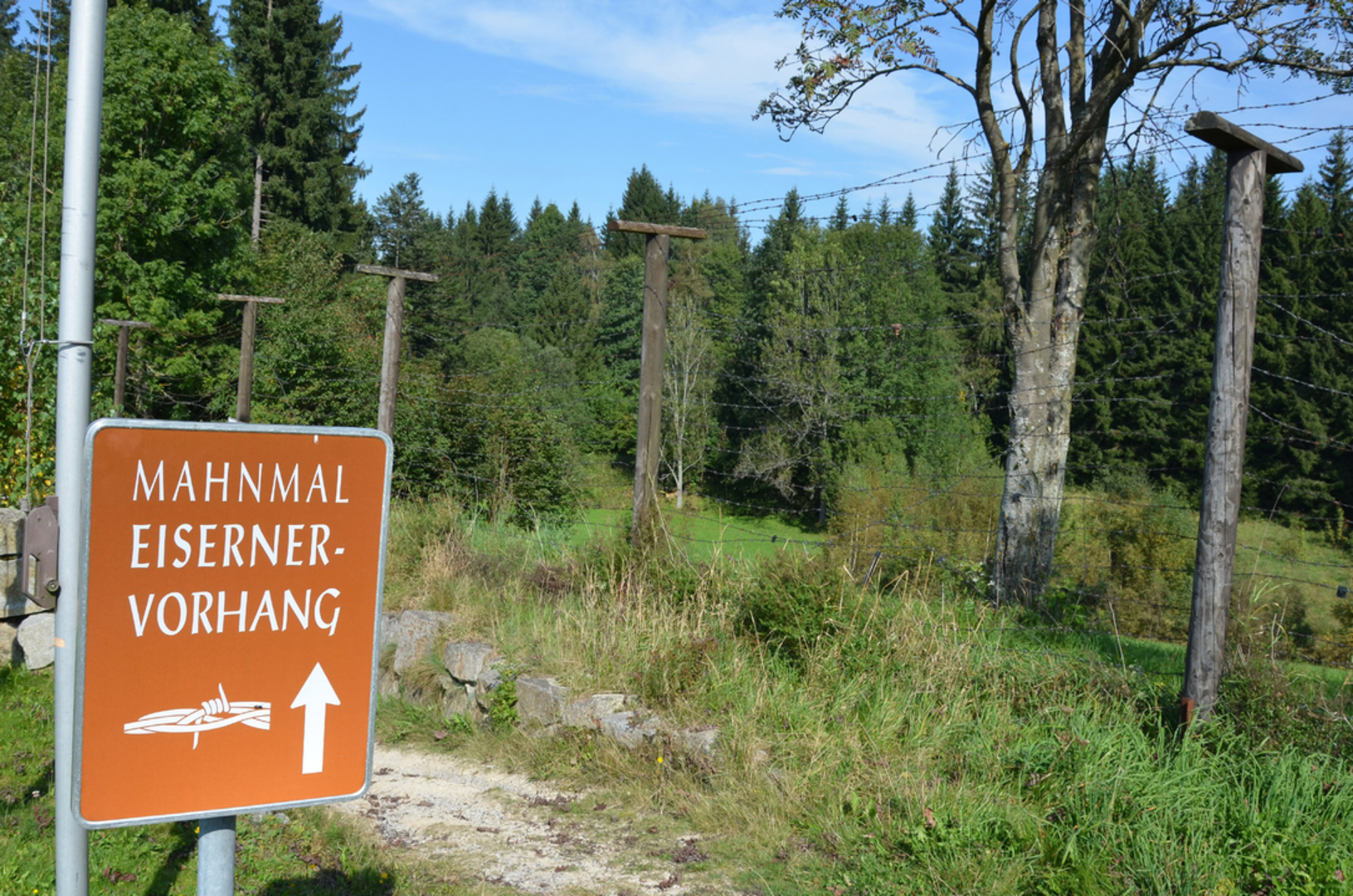 An image depicting the trail V2 Steinerne Mühl Weg and its surrounding area.