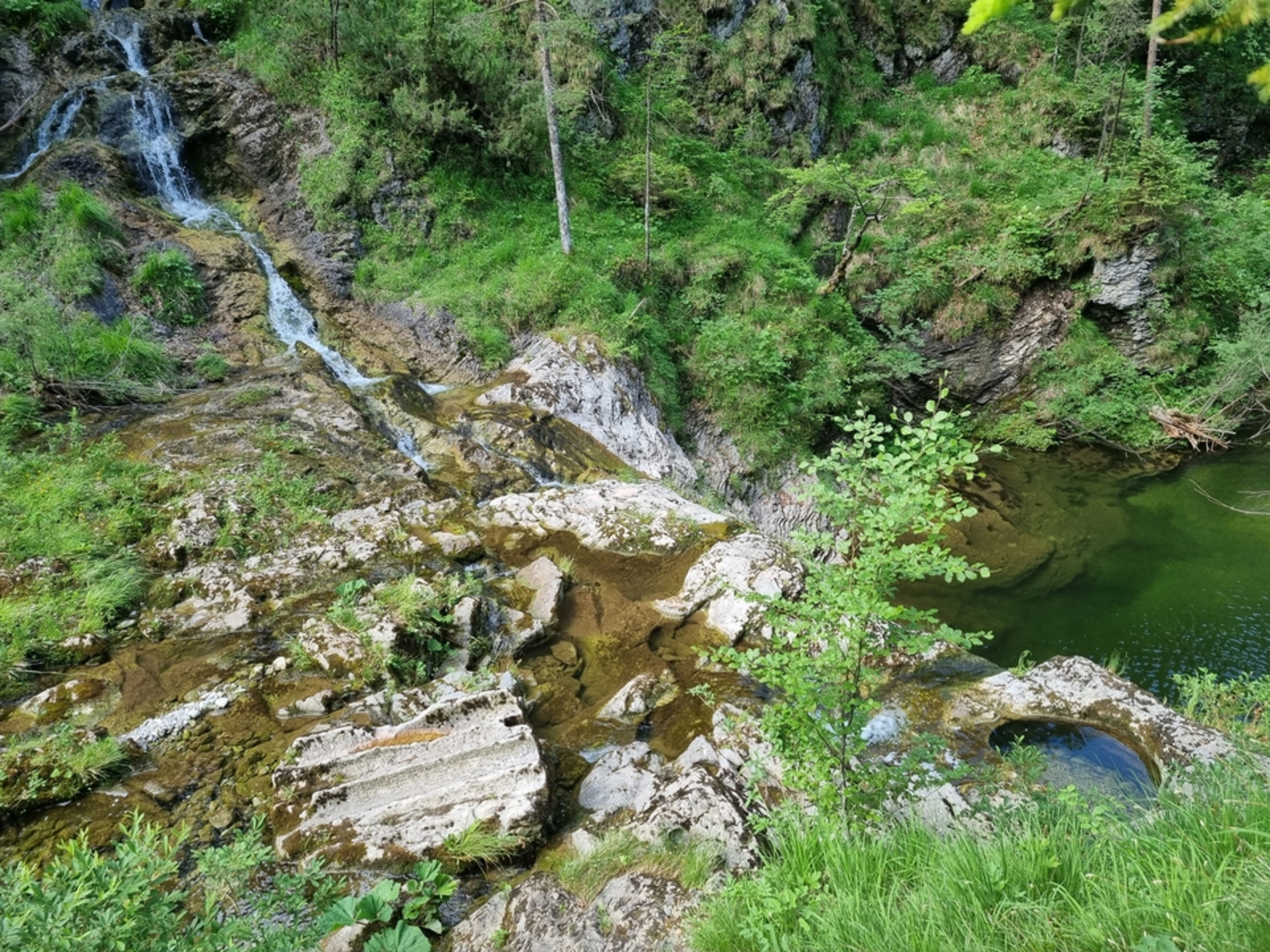 An image depicting the trail Ötschergräben and Erlauf Reservoir Trail and its surrounding area.