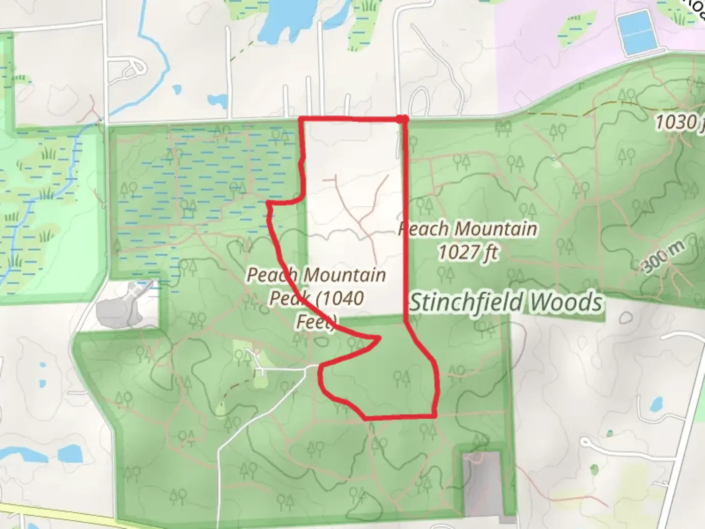 An image depicting the trail Stinchfield Woods Road Loop - South and its surrounding area.