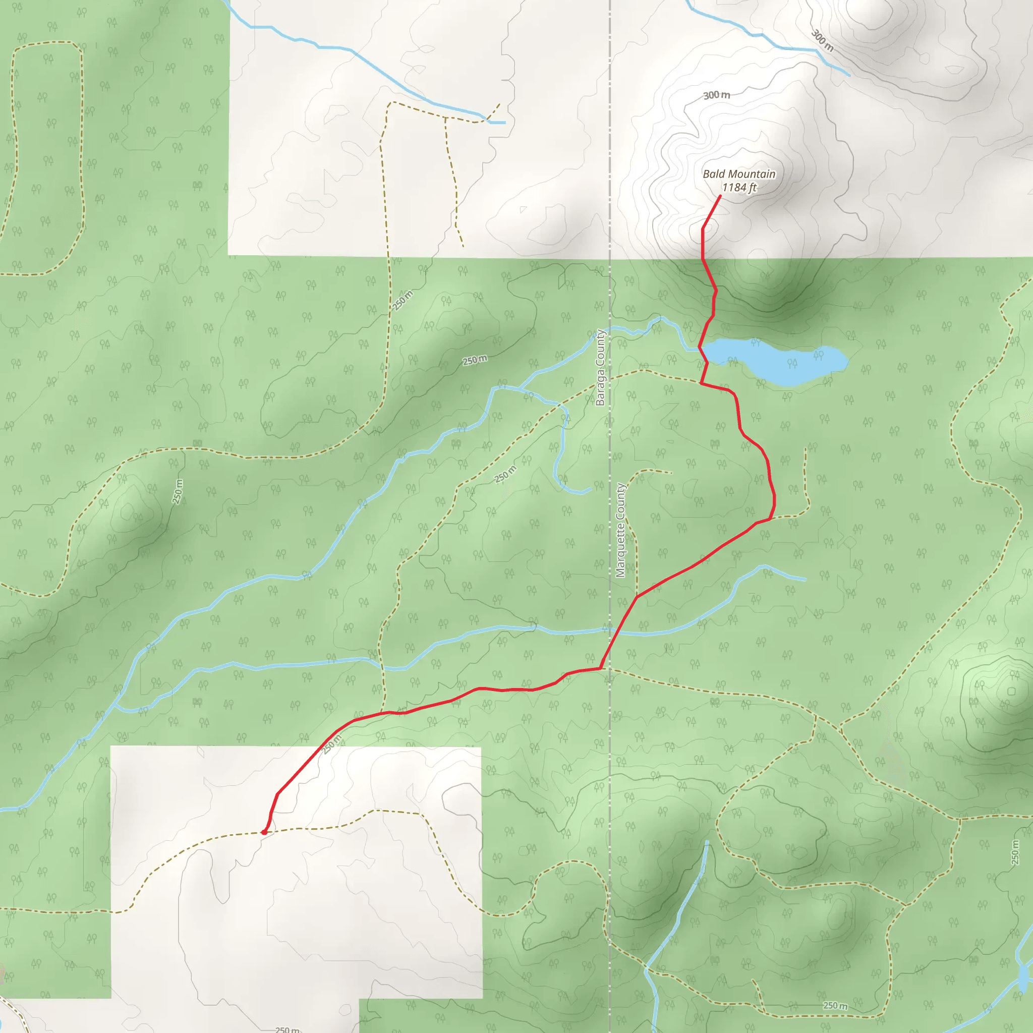 Bald Mountain Out and Back mobile static map