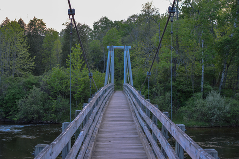 North Country Trail - Manistee River Trail Loop