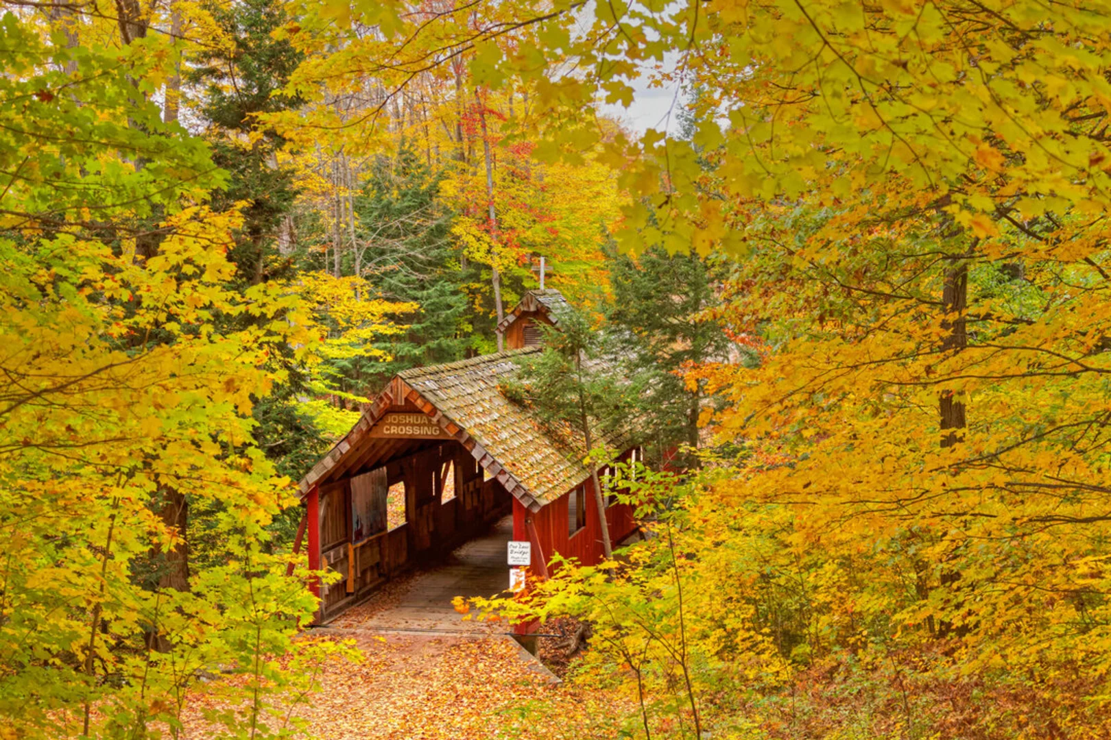 An image depicting the trail Lake Ann Pathway Outer Loop and its surrounding area.