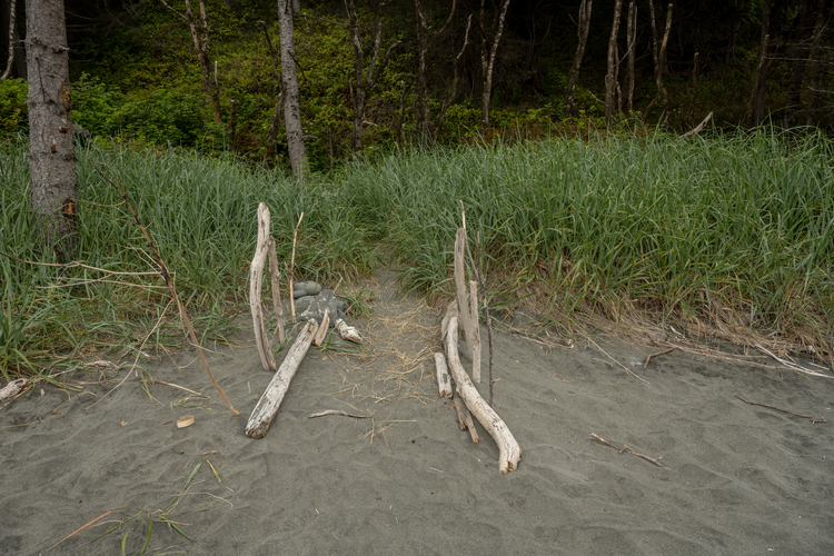 Carruthers Cove Trail
