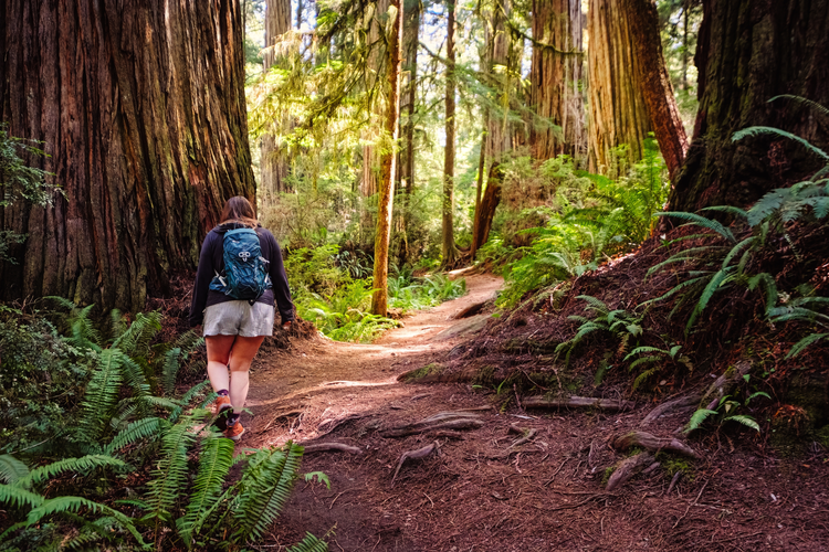 Smith River and Miller Creek