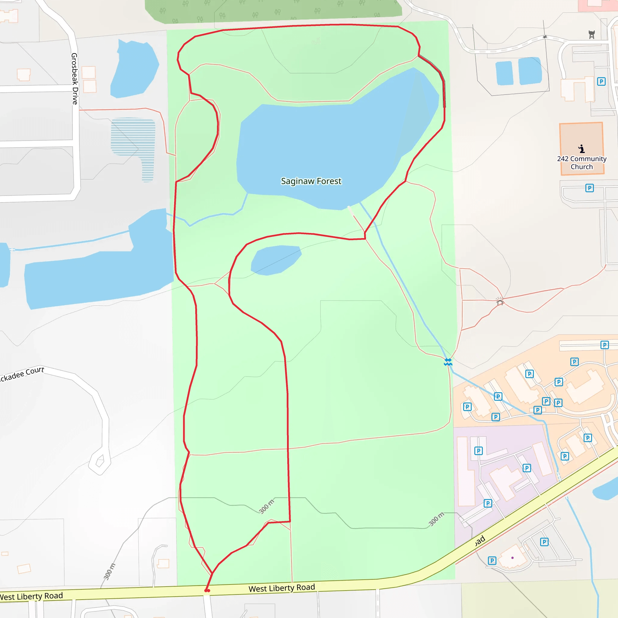 Saginaw Forest Loop mobile static map