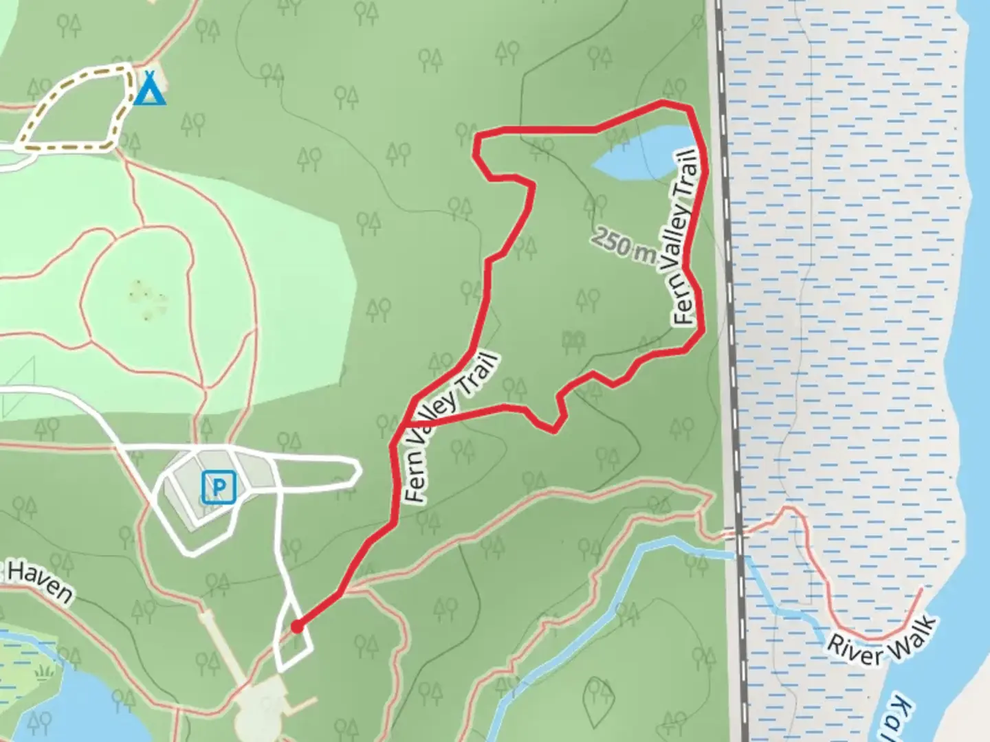 An image depicting the trail Fern Valley Loop Trail and its surrounding area.