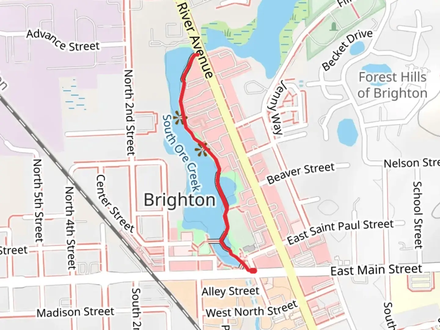 An image depicting the trail Water Walk Park and its surrounding area.