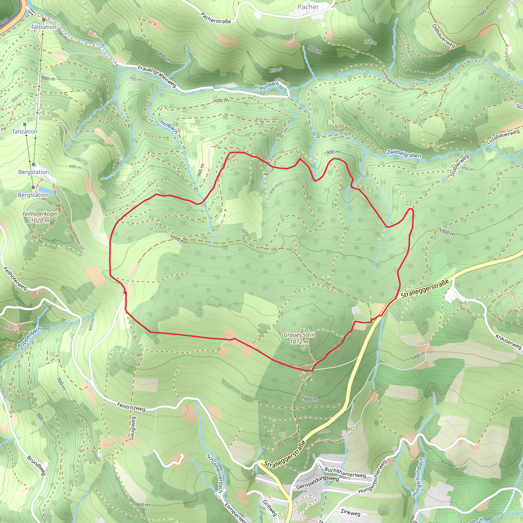 Pinggau - Rohrbach - Strallegg mobile static map