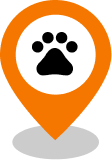 Wildlife