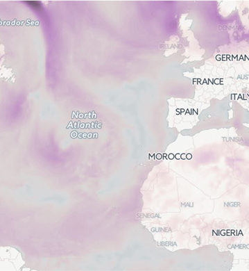 Wind Map
