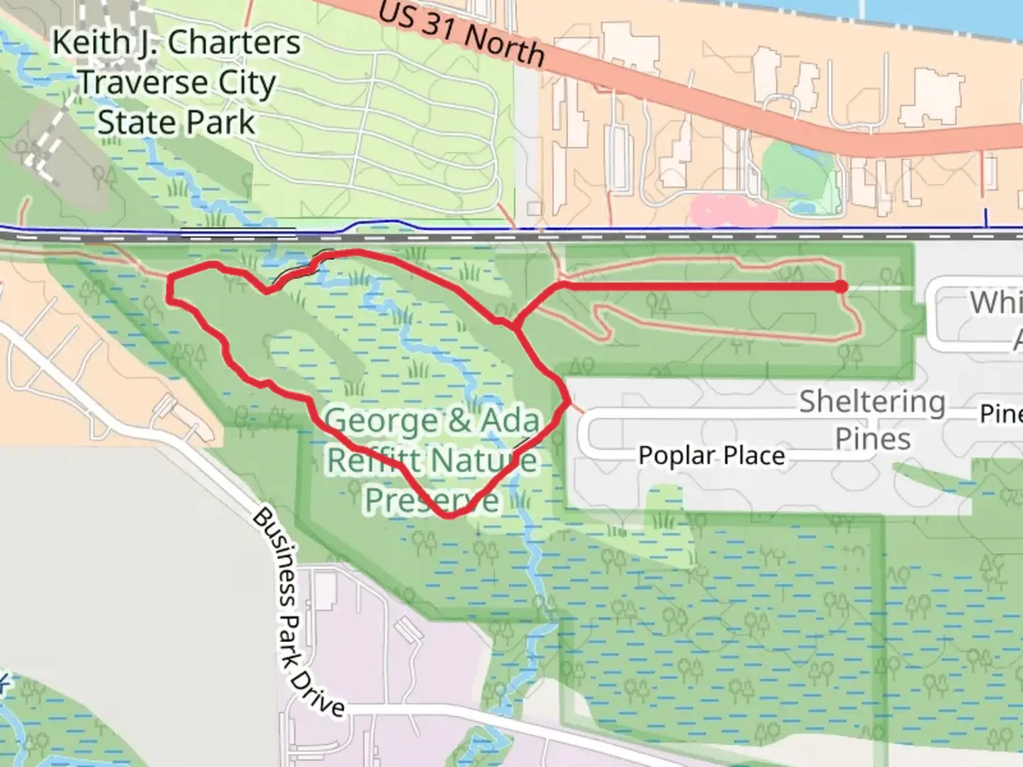 An image depicting the trail East branch Mitchell Creek Loop and its surrounding area.
