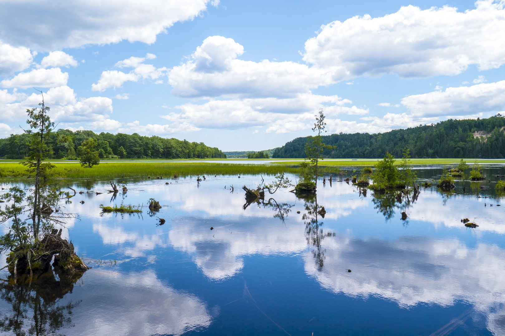 An image depicting the trail Highbanks Trail and its surrounding area.