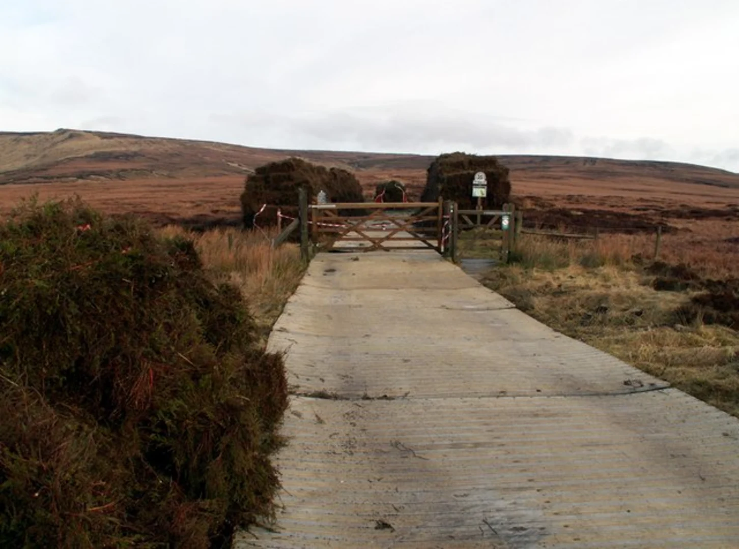 An image depicting the trail Higher Shelf Stones and Bleaklow Head Walk and its surrounding area.