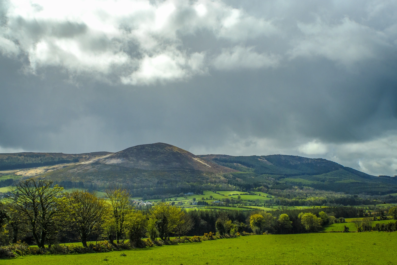 An image depicting the trail Ballyhoura - Black Rock Loop and its surrounding area.