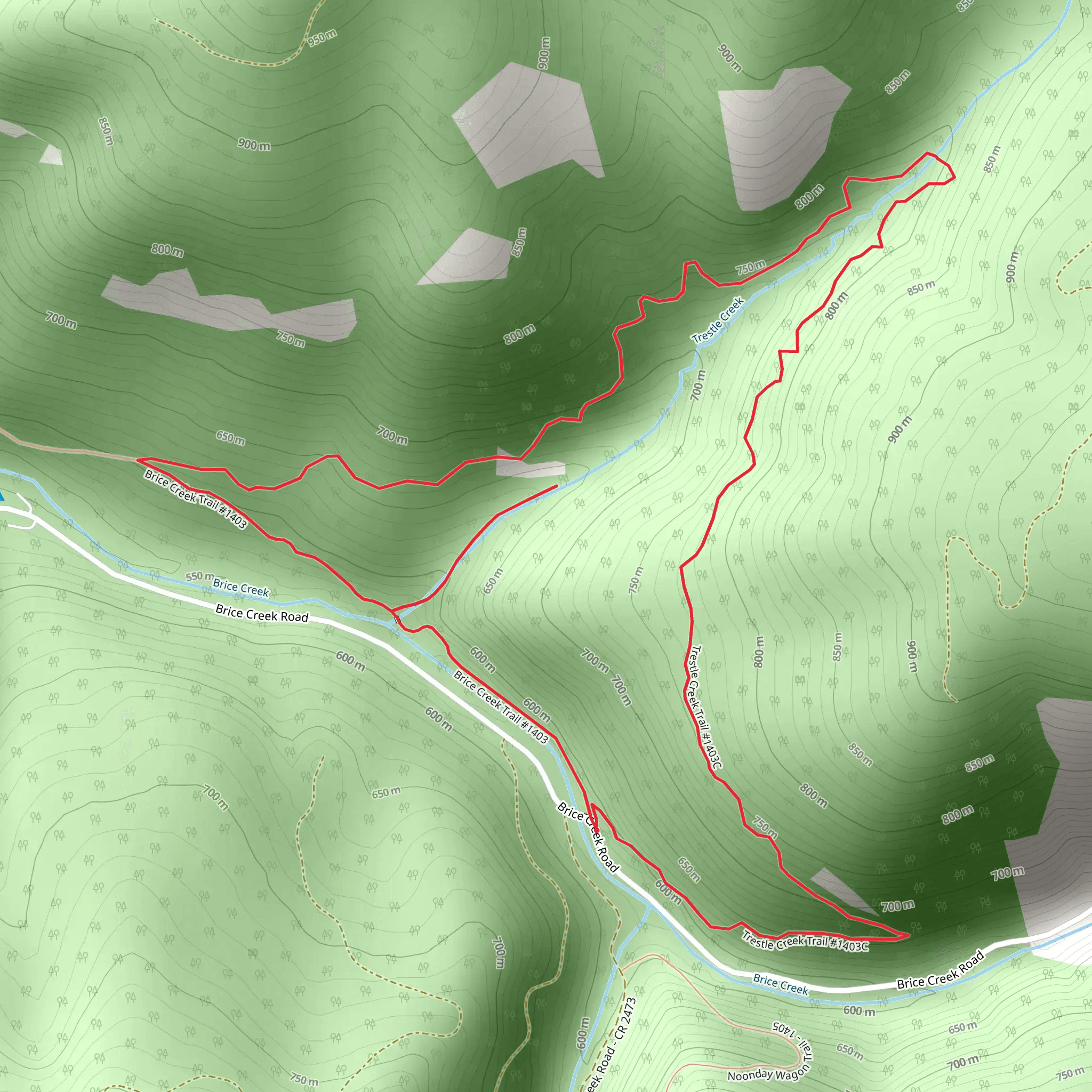 Trestle Creek and Brice Creek Loop Trail mobile static map