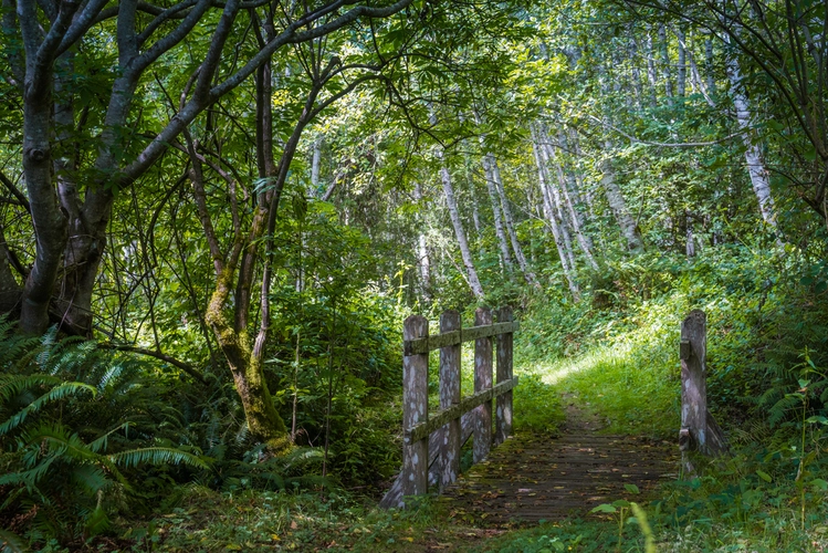 Crescent Beach Trail