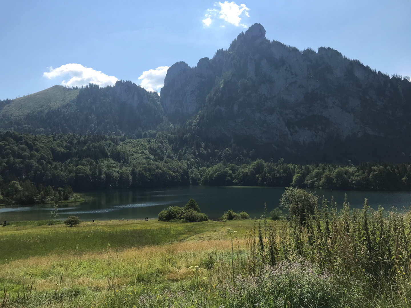 An image depicting the trail Lake Laudachsee Loop - Gmunden and its surrounding area.