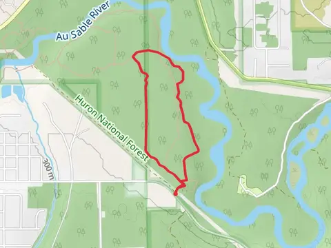 Wolf Creek and Fireweed Hiking Loop Trail