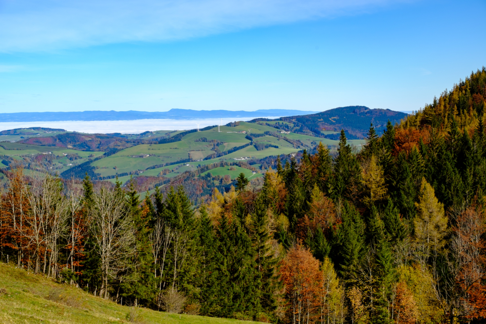 An image depicting the trail Almspitz to Lake Almsee and its surrounding area.