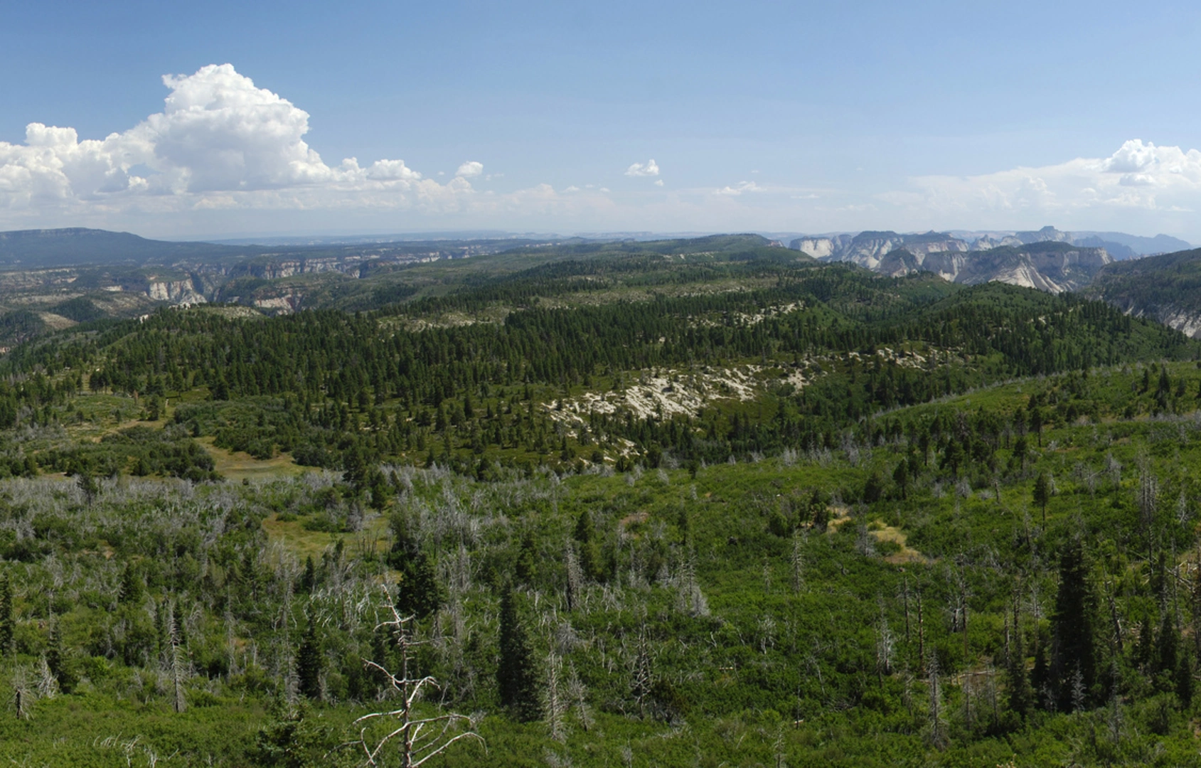 An image depicting the trail Wildcat Canyon Trail and its surrounding area.