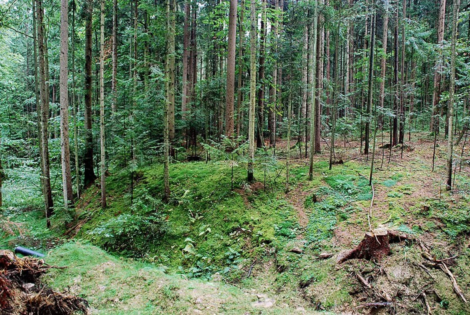An image depicting the trail Genuss Schilchern Loop and its surrounding area.