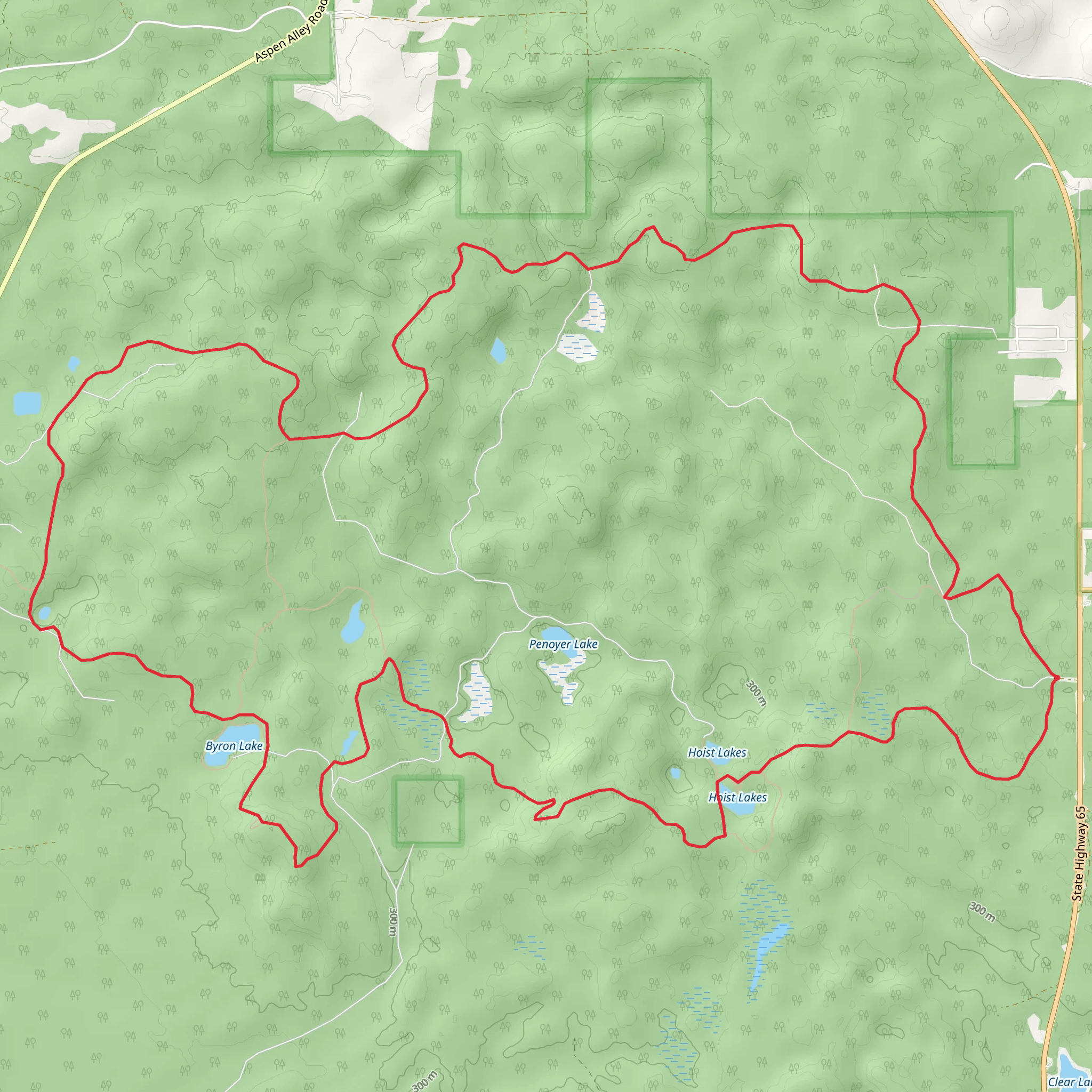 Hoist Lake Loop Trails mobile static map