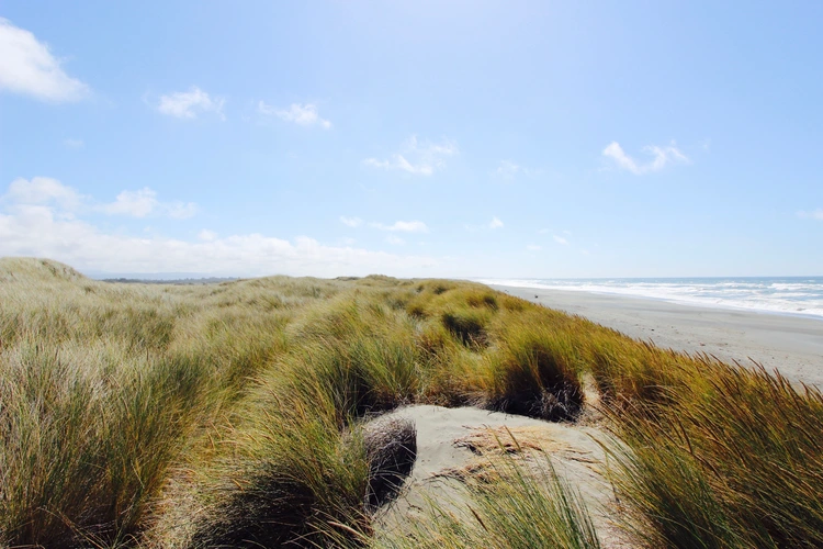 Sweetwater Creek Trail